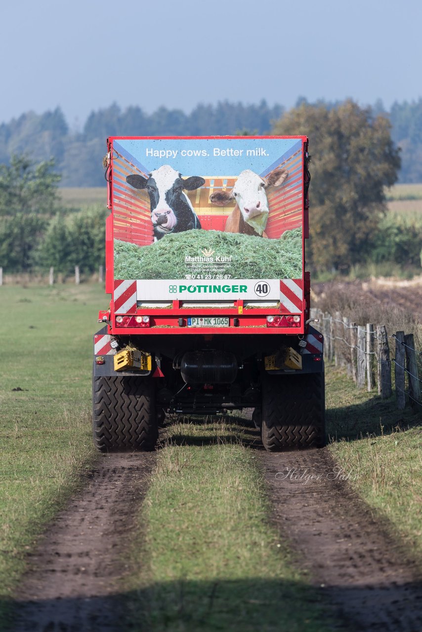 Bild 165 - Maisernte